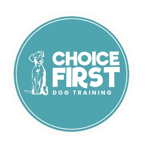 Logo of Choice First Dog Training with a dog illustration on a teal background