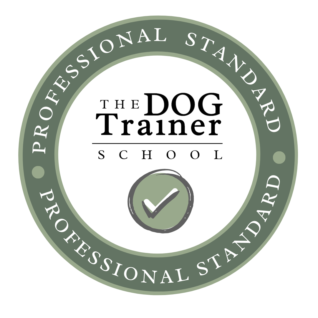 The Dog Trainer School
