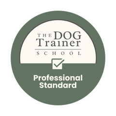 TDTS Professional Standard Logo
